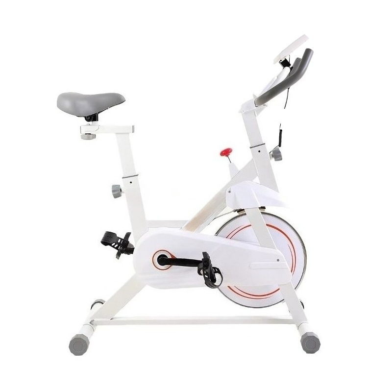 Home Gym Layout - Nieuwe professionele spinningbike, rationele structurele lay-out