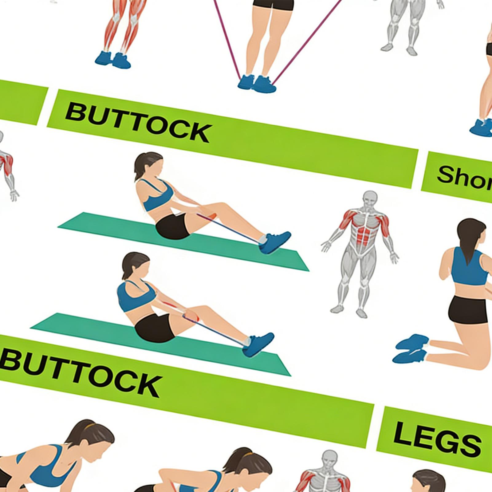 Workout-posters met weerstands - Home Gym Guide recensie en prijs