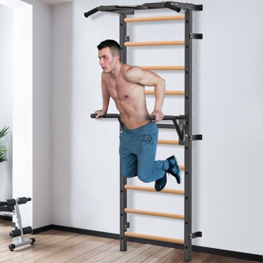 Wandgemonteerde gymnastiekladd - Home Gym Wall Mounted recensie en prijs