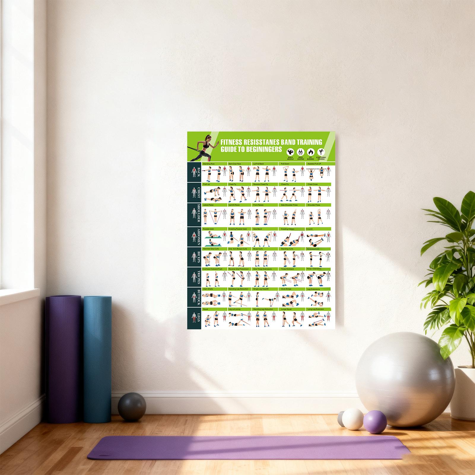 Workoutposters met weerstandsb - Home Gym Guide recensie en prijs