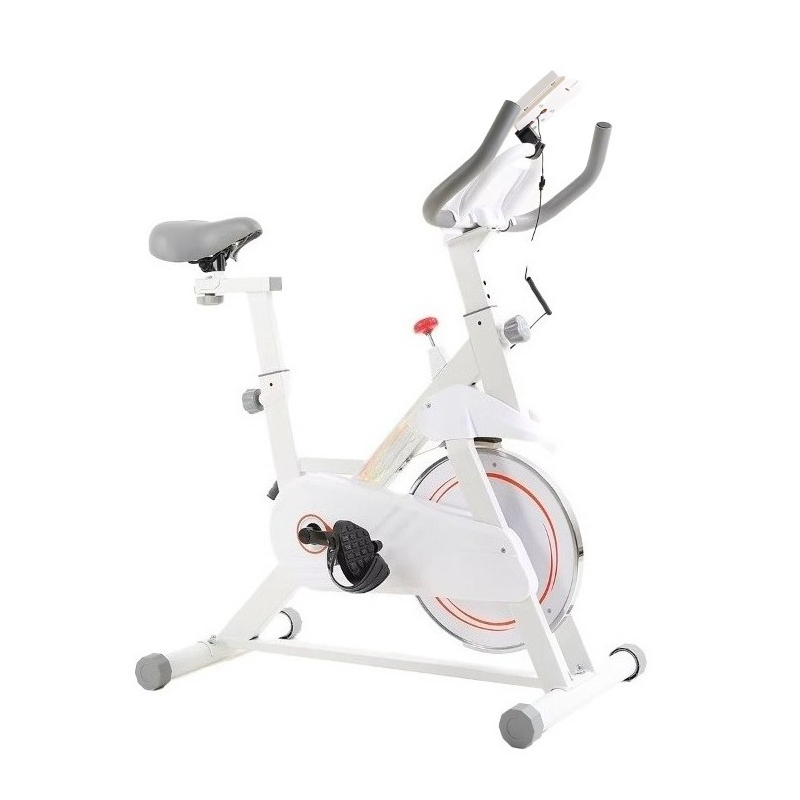 Nieuwe professionele spinningb - Home Gym Layout recensie en prijs