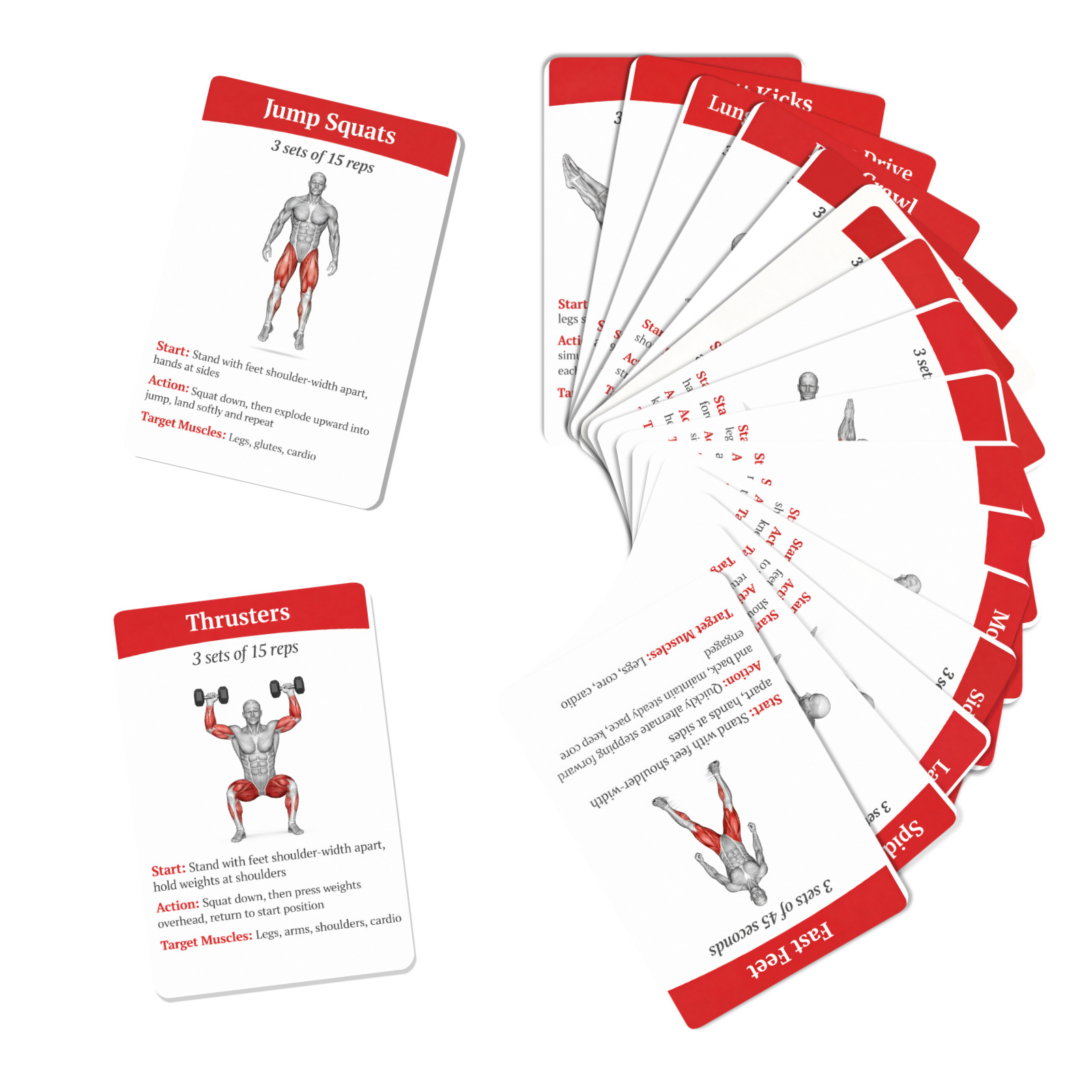 36 stuks volledige lichaamsvet - Home Gym Guide recensie en prijs