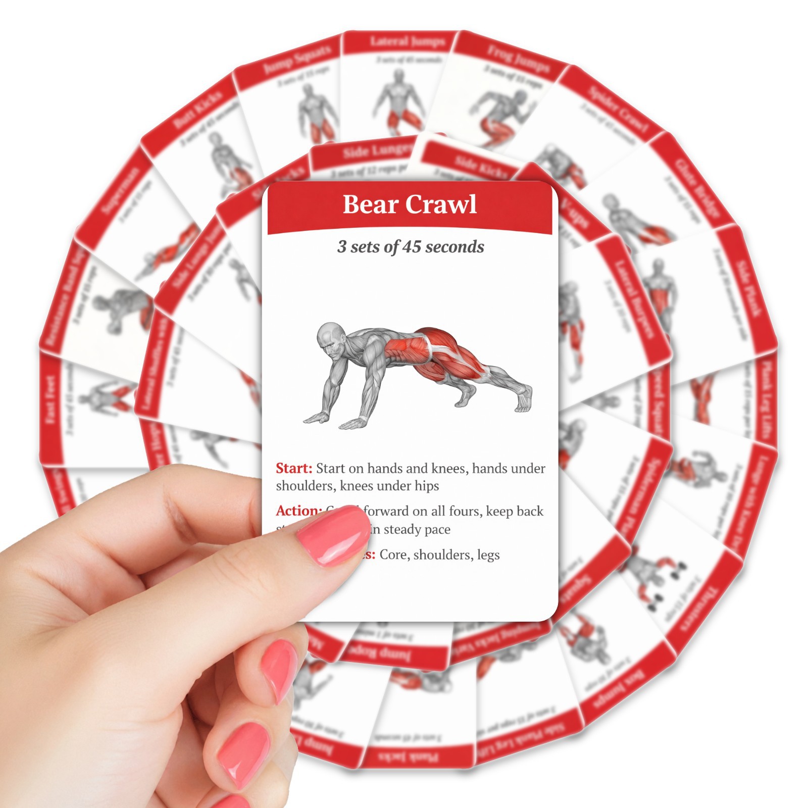 36 stuks volledige lichaamsvet - Home Gym Guide recensie en prijs